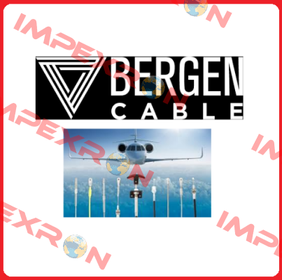 Bergen Cable Technology Llc