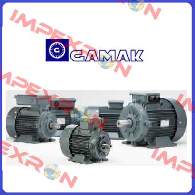 AGM 132S/4 IE2 B3 220V with brake  Gamak