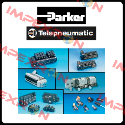 FTCE 2A100 W054312049 (obsolete - replaced by FTCE2B10Q)  Parker