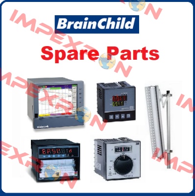 C42-411000002 Brainchild