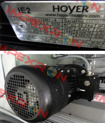 HMA2 112M1 - 4 pole Hoyer Motors