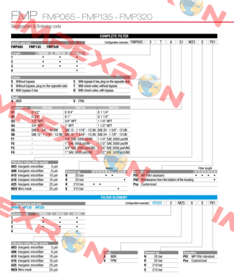 FMP-065-2-B-A-G1-A25-N-P01 MP Filtri